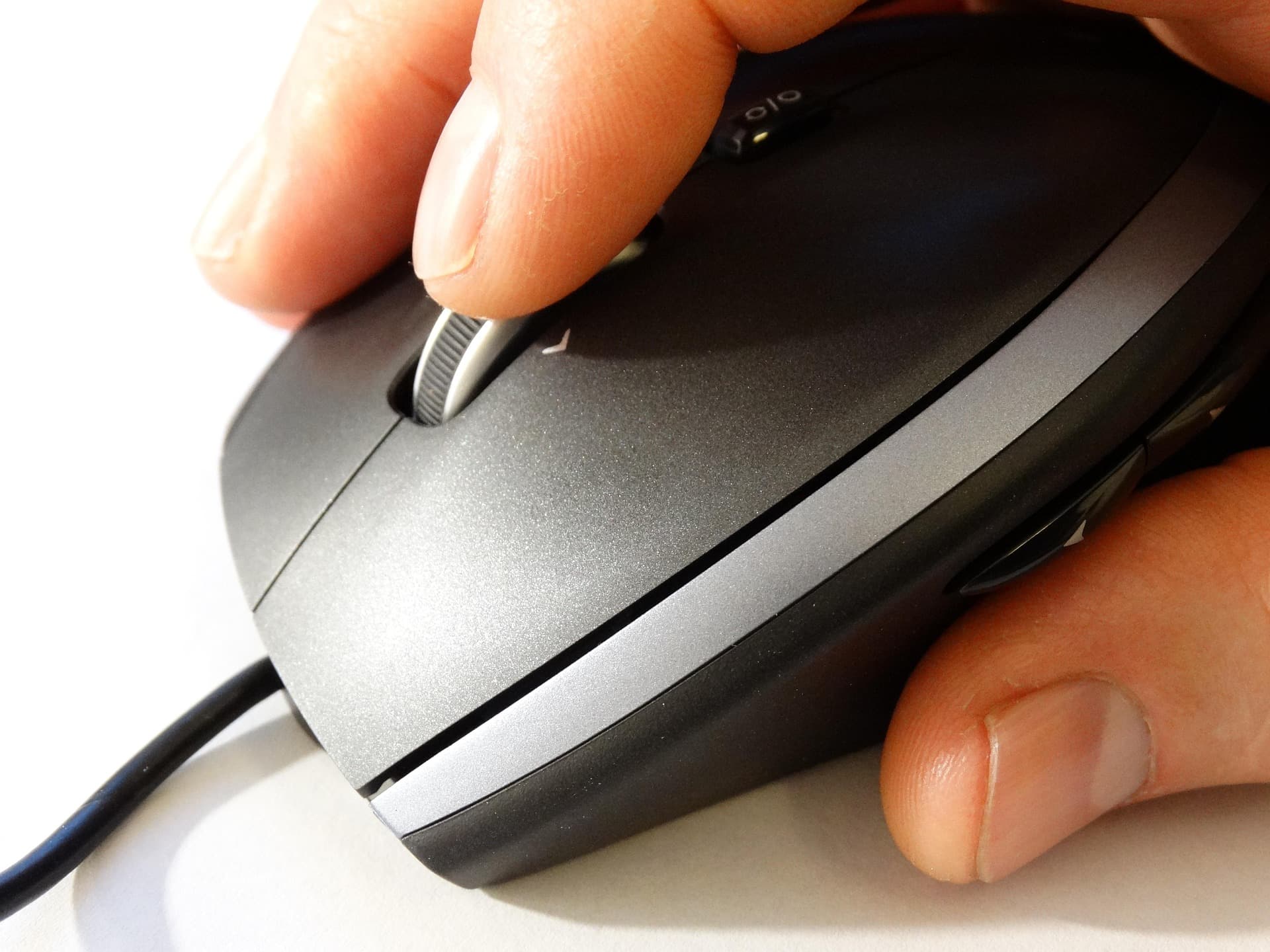 mouse